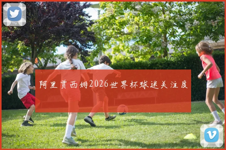 阿里贾西姆2026世界杯球迷关注度
