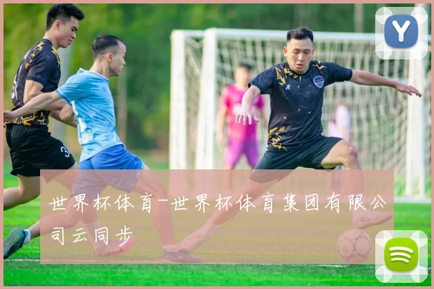 世界杯体育-世界杯体育集团有限公司云同步