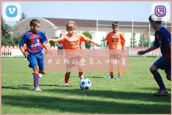 开云网站登录入口体育