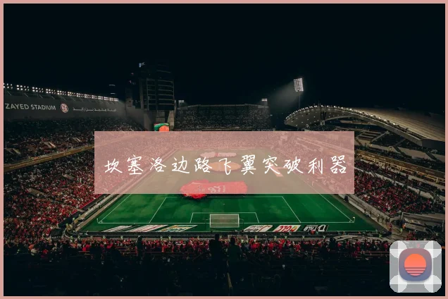坎塞洛边路飞翼突破利器