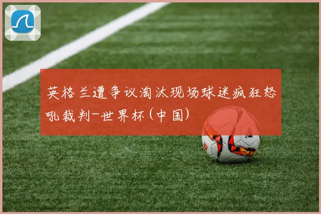 英格兰遭争议淘汰现场球迷疯狂怒吼裁判-世界杯(中国)