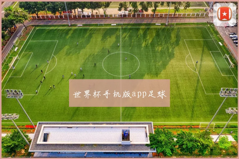 世界杯手机版app足球
