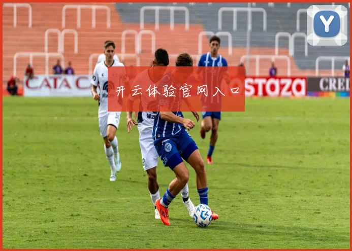 开云体验官网入口