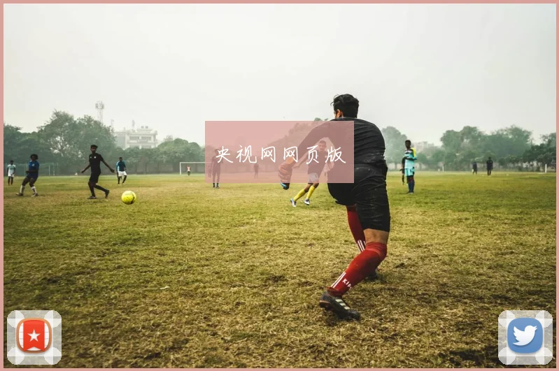 央视网网页版