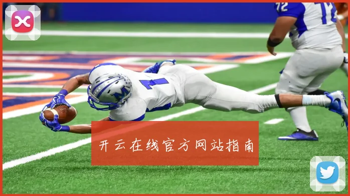 开云在线官方网站指南