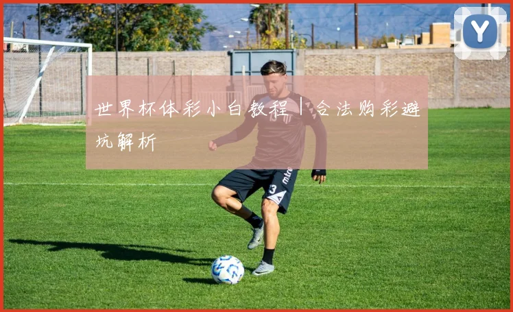世界杯体彩小白教程｜合法购彩避坑解析