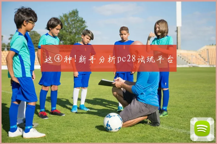 这④种!新手分析pc28试玩平台