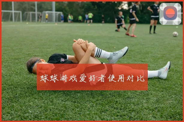 球球游戏爱好者使用对比