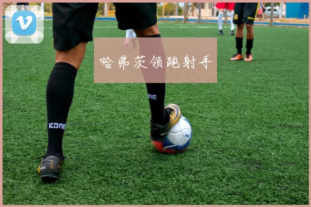 哈弗茨领跑射手