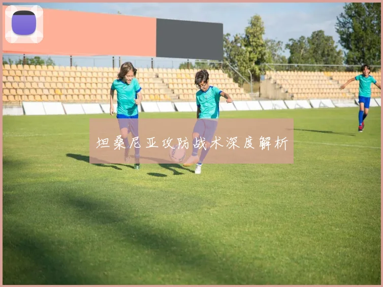 坦桑尼亚攻防战术深度解析