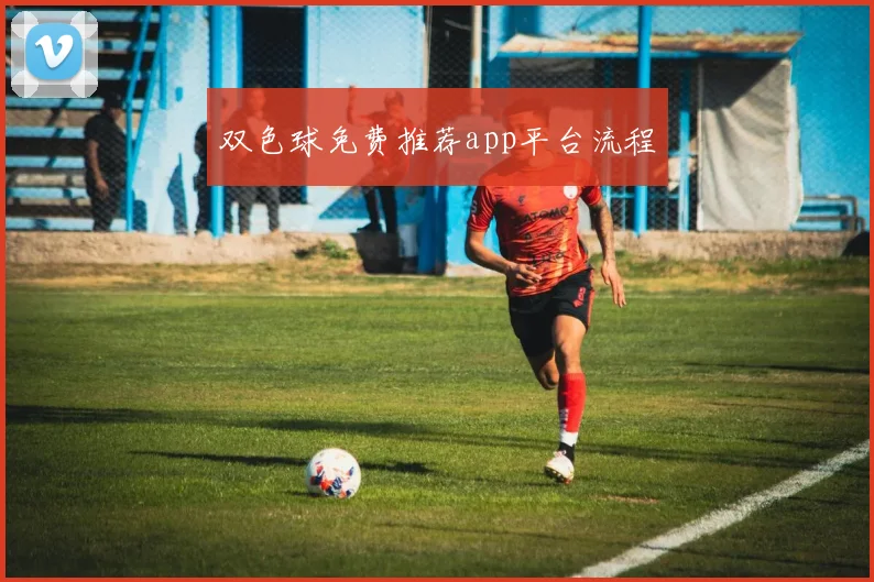双色球免费推荐app平台流程
