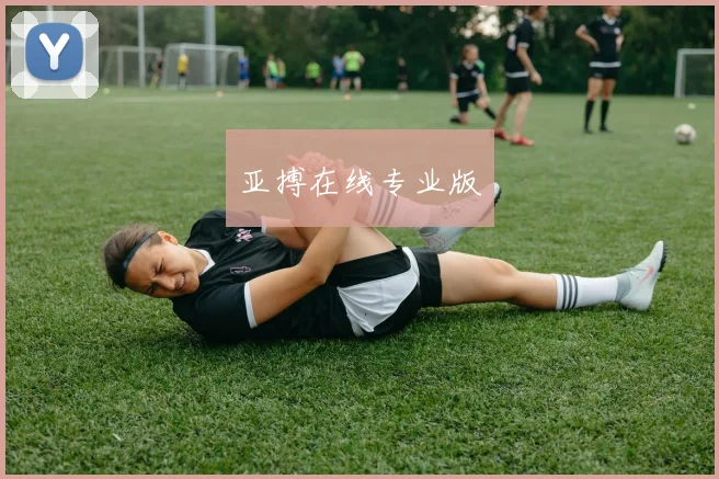 亚搏在线专业版