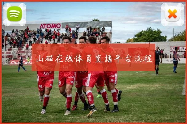 山猫在线体育直播平台流程