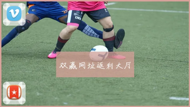 双赢网址返利大厅
