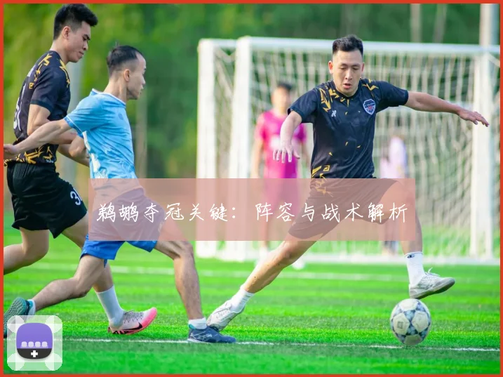 鹈鹕夺冠关键:阵容与战术解析