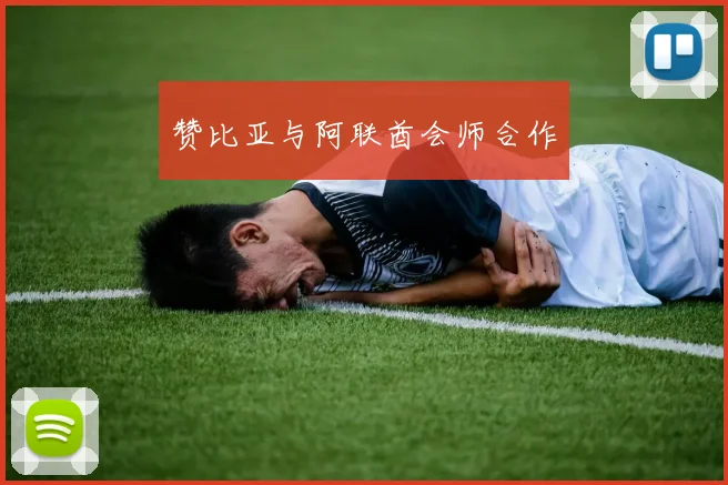 赞比亚与阿联酋会师合作