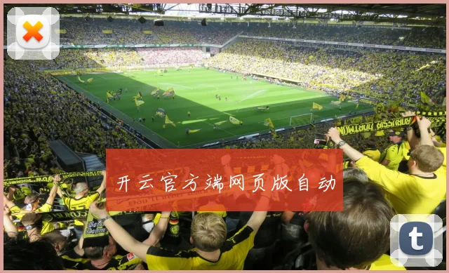 开云官方端网页版自动