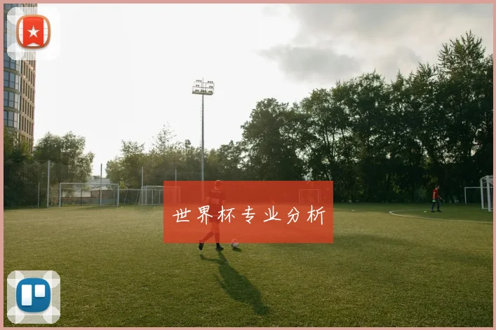 世界杯专业分析