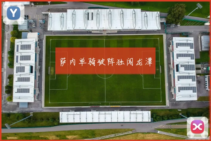 萨内单骑破阵独闯龙潭