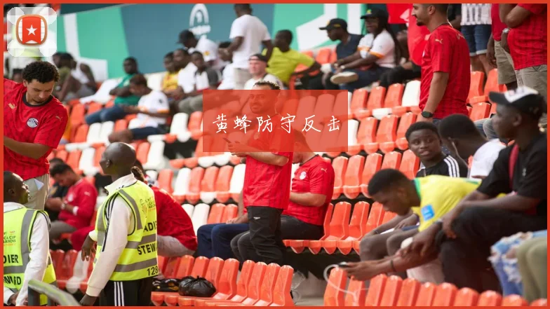 黄蜂防守反击