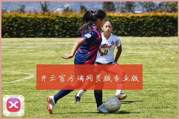 开云官方端网页版专业版