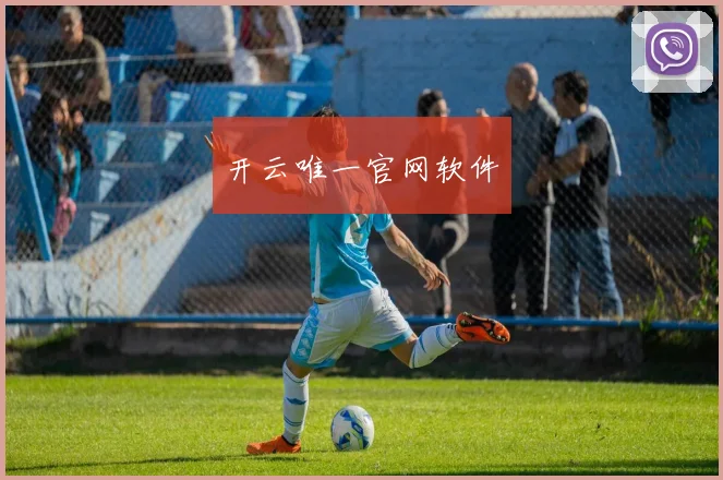 开云唯一官网软件