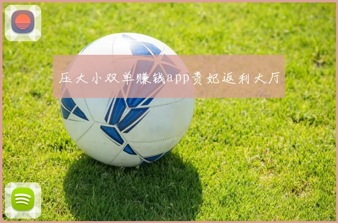 压大小双单赚钱app贵妃返利大厅