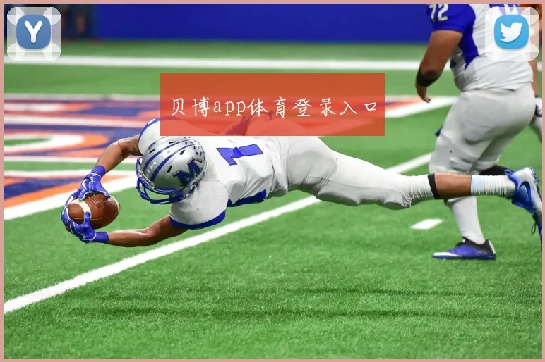 贝博app体育登录入口