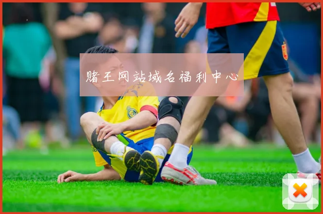 赌王网站域名福利中心