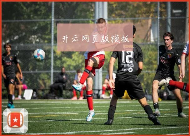 开云网页版模板