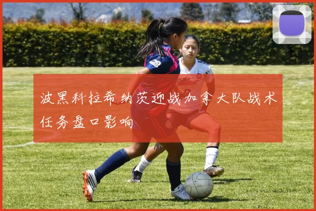 波黑科拉希纳茨迎战加拿大队战术任务盘口影响