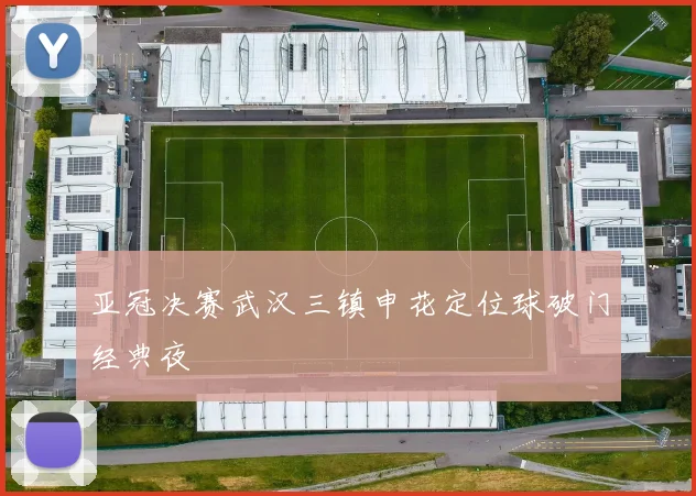 亚冠决赛武汉三镇申花定位球破门经典夜
