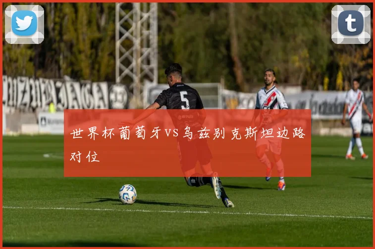 世界杯葡萄牙vs乌兹别克斯坦边路对位